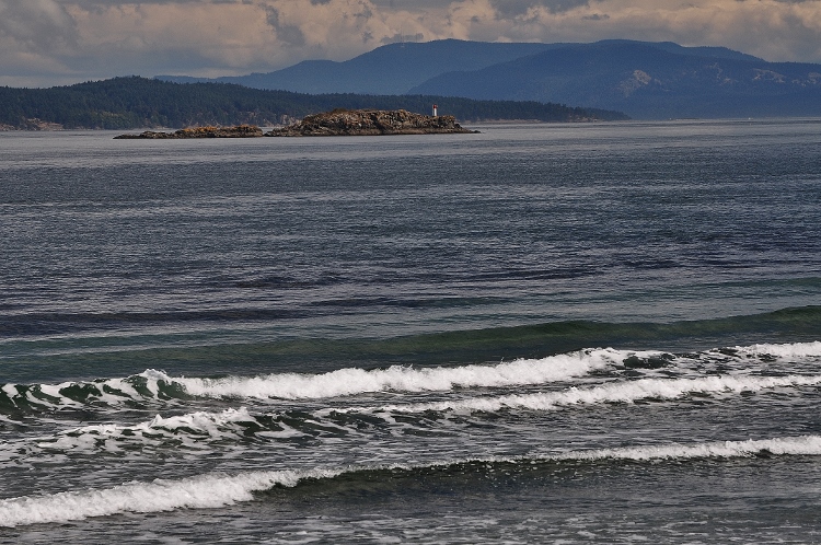 the shoreline and waves